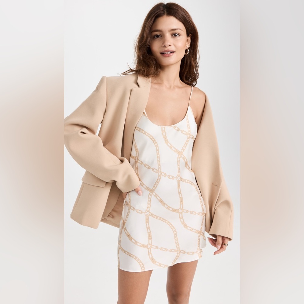 NWT Anine Bing Lisette Printed Silk-charmeuse Mini Dress